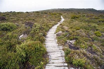 Image result for Uphill Walkway