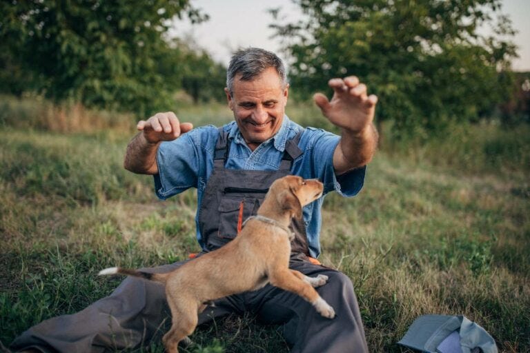 40 Old Man Dog Names - Classics That Impress