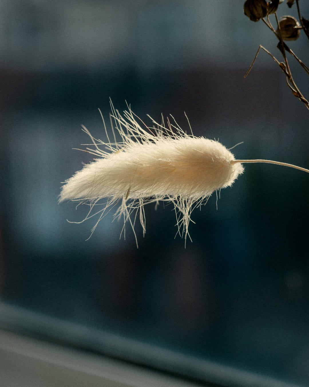 Dried grass