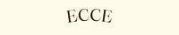 ECCE