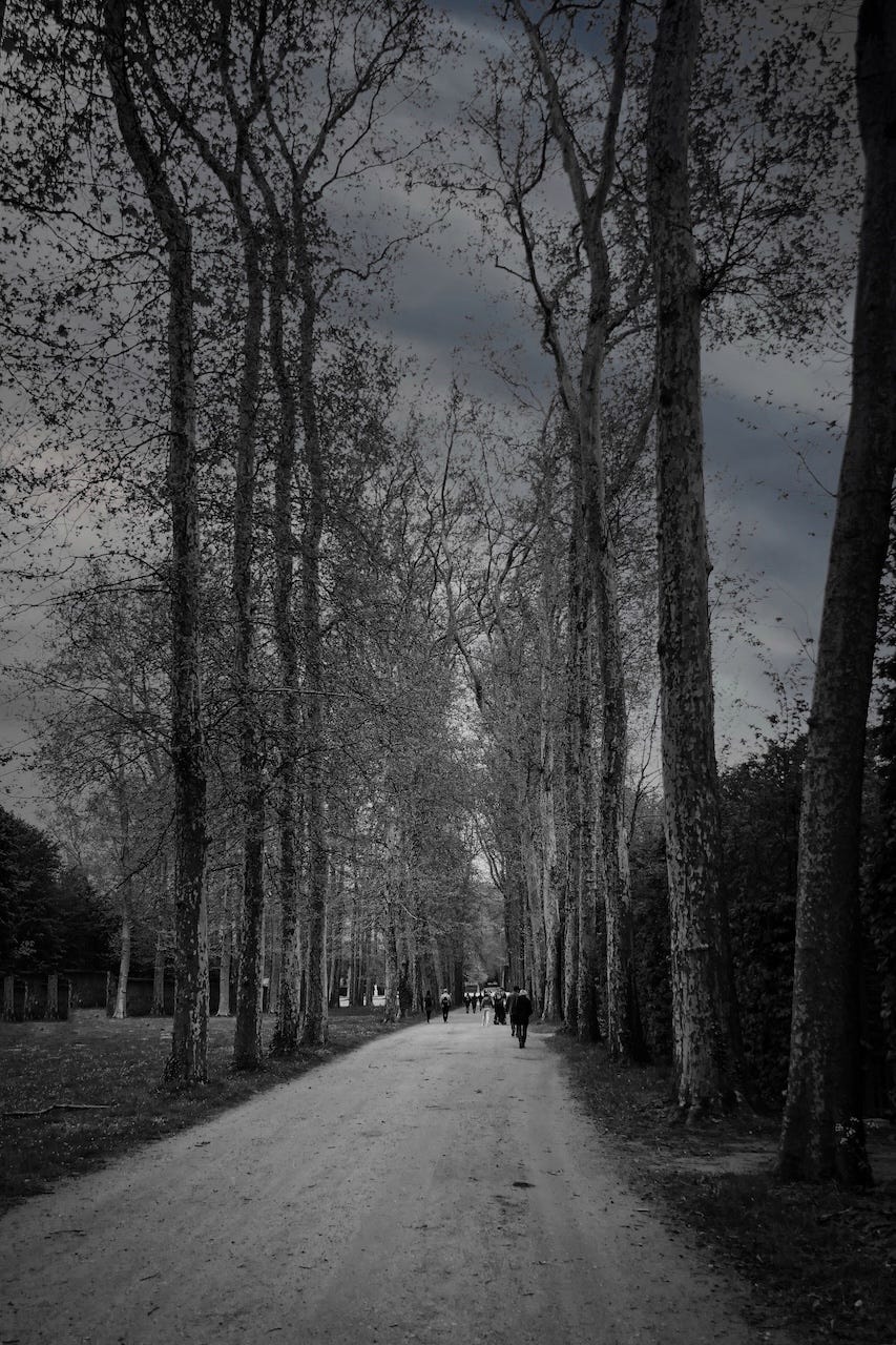 A serene, tree-lined path in black and white, with people walking along a dirt road under a cloudy sky.
