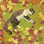 Wolfberry Studio's avatar