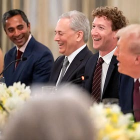 ‘Smart Republicans Are Terrified’: Will Democrats Finally Seize the Big Tech Backlash?