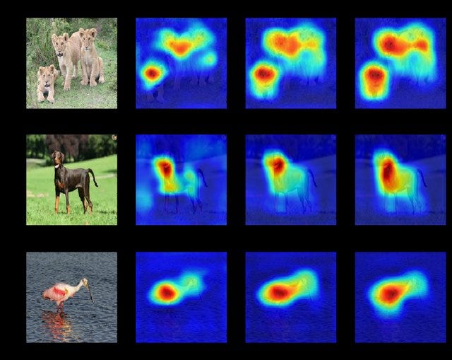 What is Saliency Map? - GeeksforGeeks