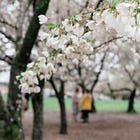 In the bloom of spring, life doesn't stay stuck forever