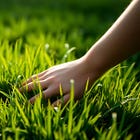 Go Touch Grass