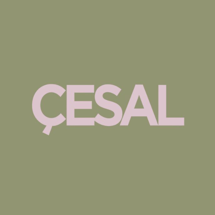 Artwork for ÇESAL's Substack