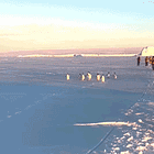 Renee Good. Tabs, Thurs., Jan. 8, 2026