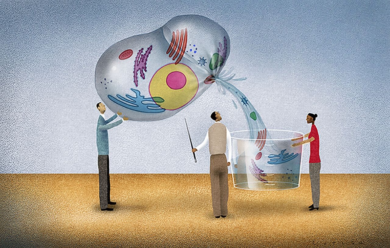 News Feature: Biology research, no cells required | PNAS