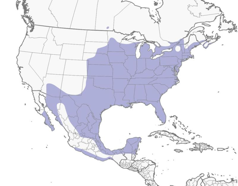 Screenshot 2026-02-22 at 7.40.07 PM.png