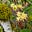 Breaking Dormancy's avatar