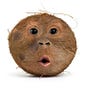 coconutmilkie's avatar