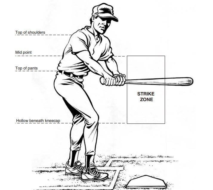 What an MLB Strike Zone Really Looks Like and Why Players Are Always so Mad  About It - Business Insider
