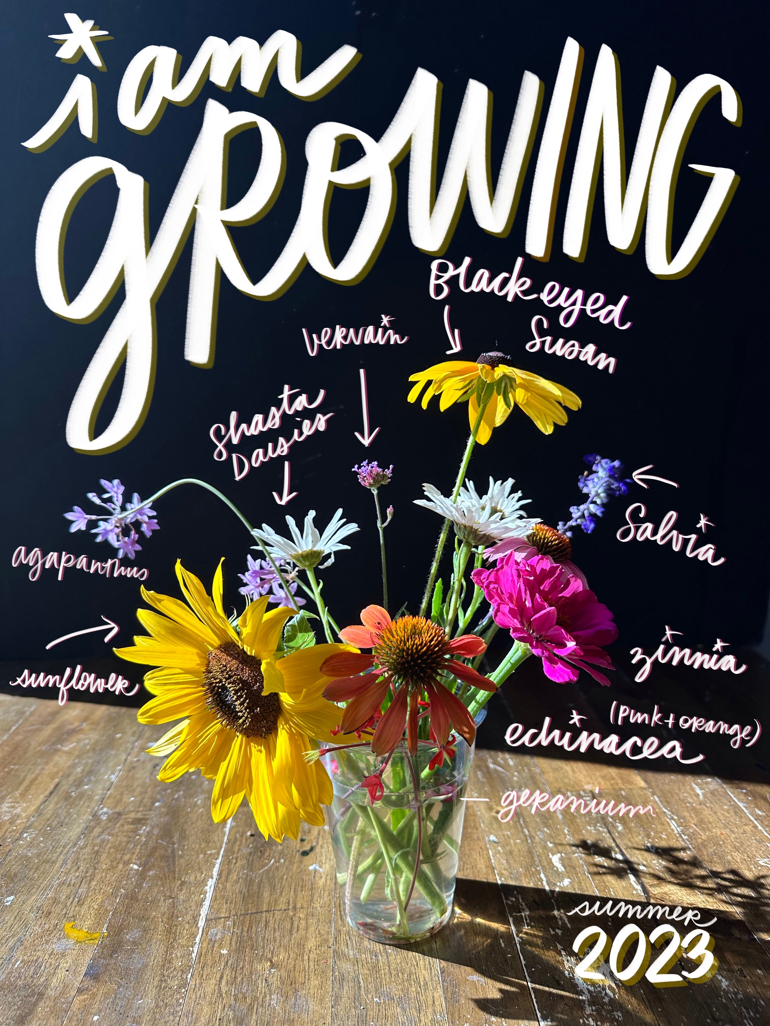 Seed Organizing - by Tracy Benjamin - The Handwriting Club