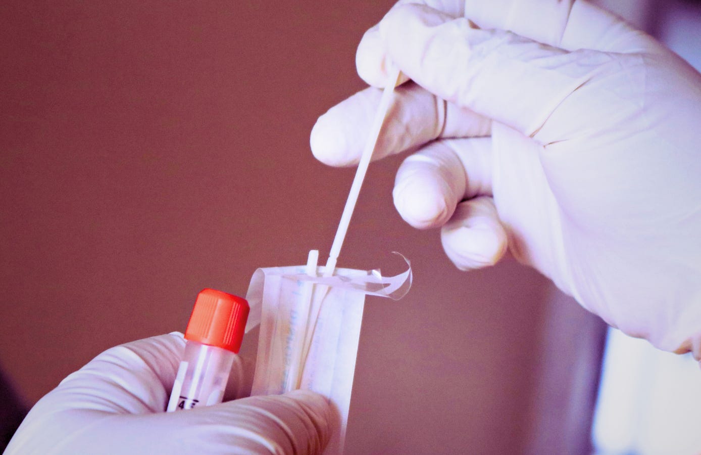 Gloved hands holding a sample vial while a swab is inserted, suggesting DNA collection or testing. Gloved hands holding a sample vial while a swab is inserted, suggesting DNA collection or testing.