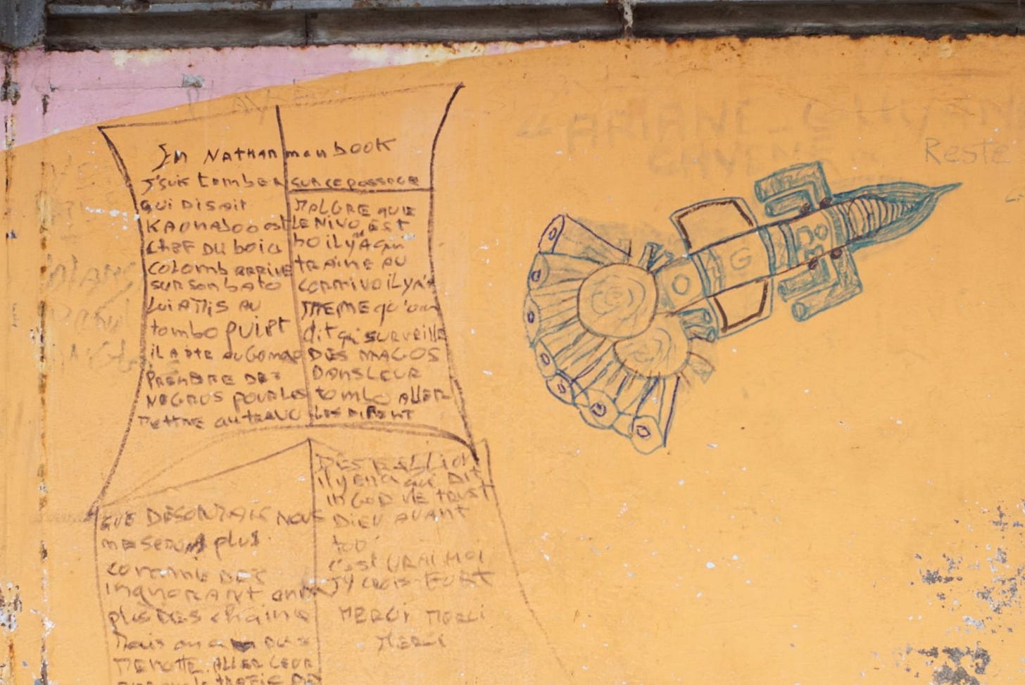 Sortir de la jungle Sortir de la jungle