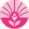 The Pink Zones 
