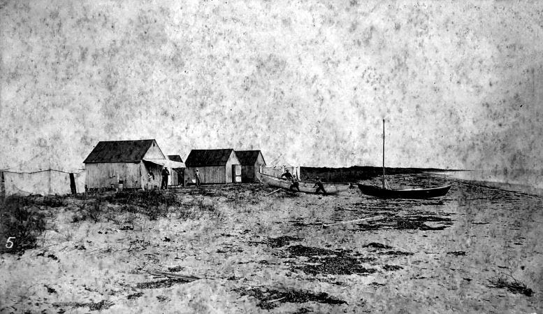 Cover: The future Miami Beach in 1882. 