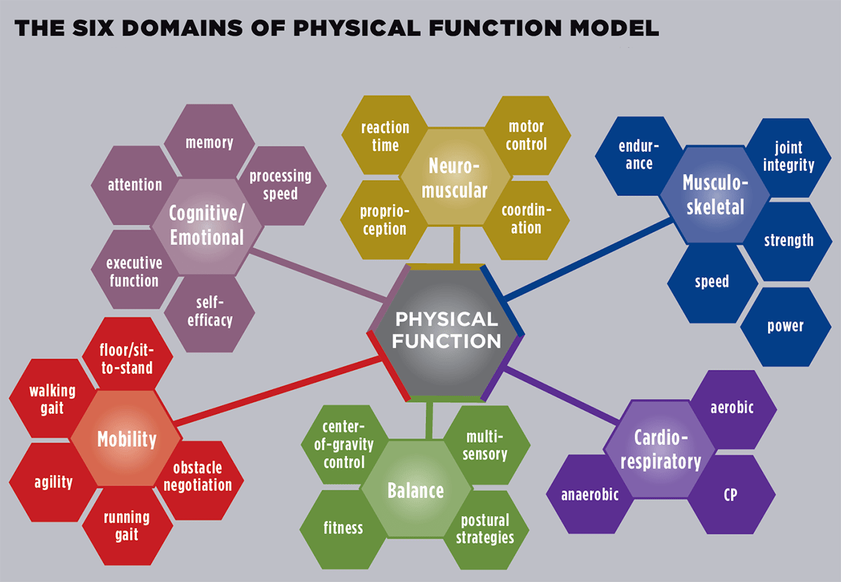 Degrees of Functional Abilities, Demystified - IDEA Health & Fitness