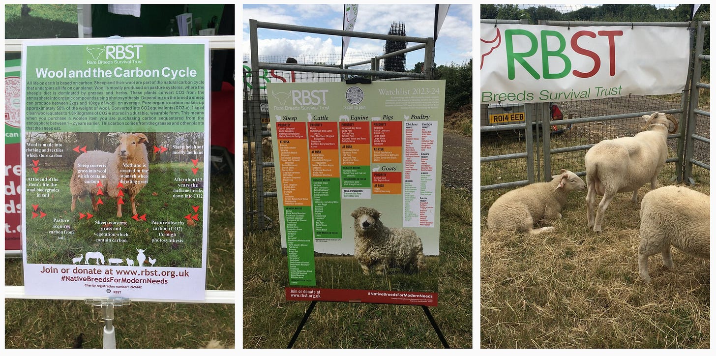 1–2. Posters from RBST on ‘Wool and the Carbon Cycle’ and on the breed watclist 2023–24. 3. A few Whitefaced Woodland sheep. 1–2. Posters from RBST on ‘Wool and the Carbon Cycle’ and on the breed watclist 2023–24. 3. A few Whitefaced Woodland sheep.