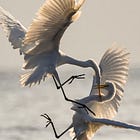 The Sacred Art of Conflict Resolution