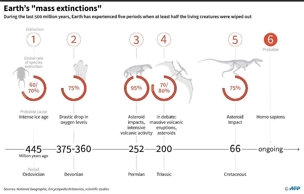 Here we go again: Earth's major 'mass extinctions' Here we go again: Earth's major 'mass extinctions'