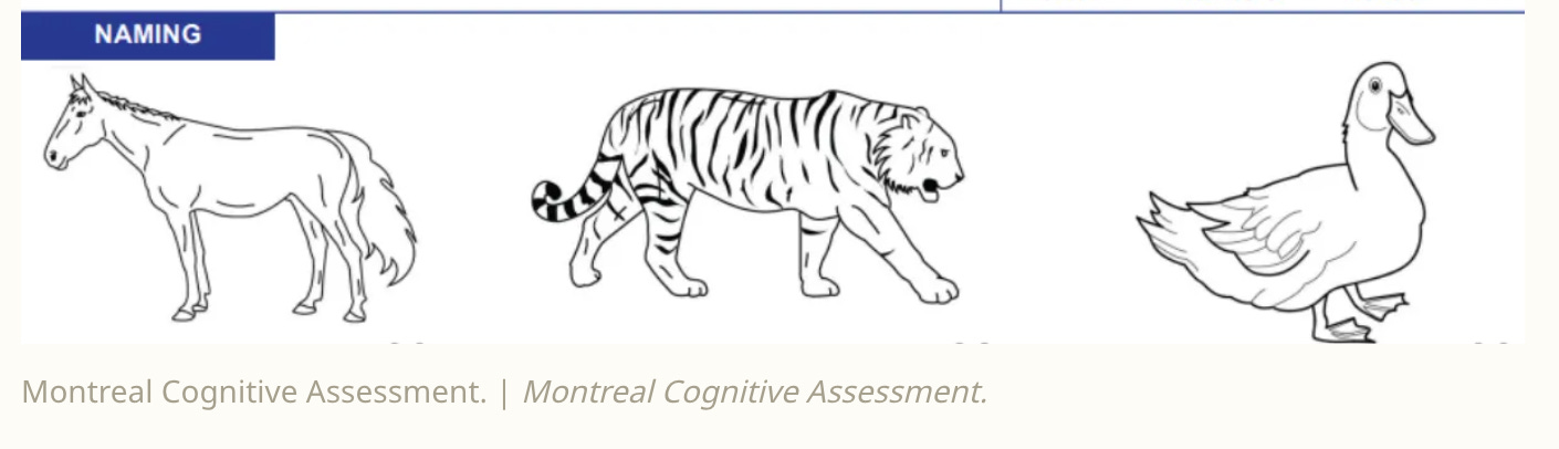 Image of Montreal Cognitive Assessment from MoCA Cognition showing three animals in successions: horse, tiger, and cute duck