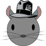 Chinchilla Squeaks