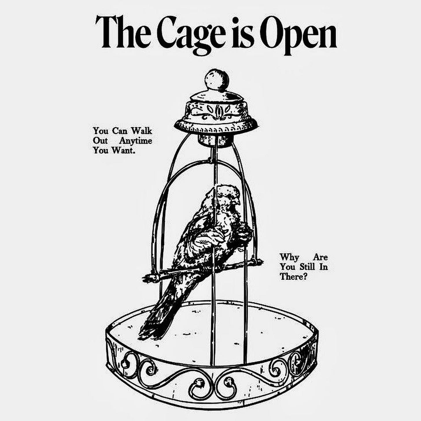 The Cage Is Open. Words by Heather Havrilesky (Ask Polly). Artist unconfirmed, via Pinterest.