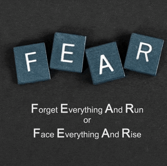 Conquer Your Fears | Real Life of an MSW Conquer Your Fears | Real Life of an MSW