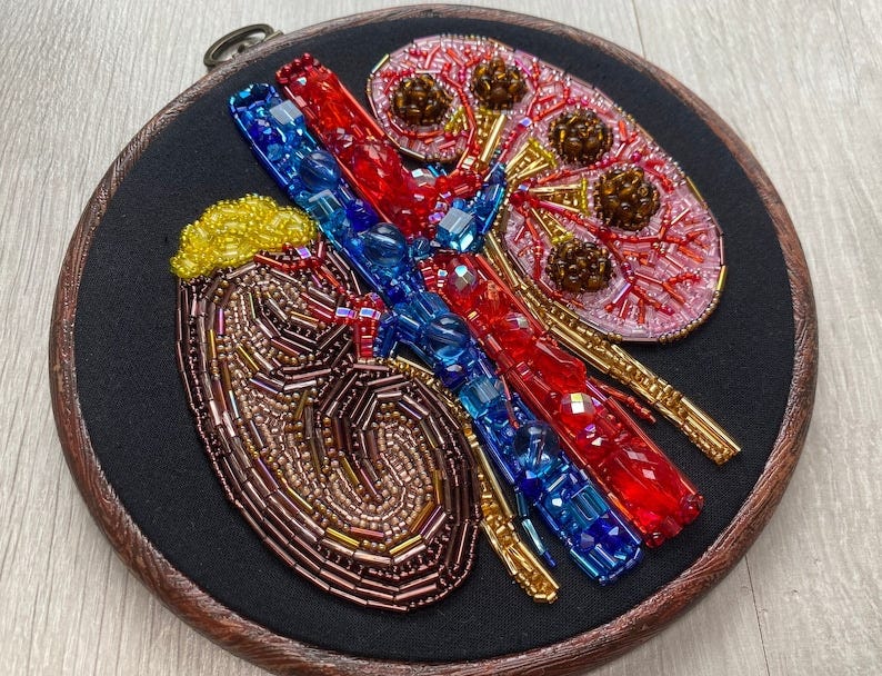 Kidneys Anatomical Beaded 6 Embroidery Hoop image 1