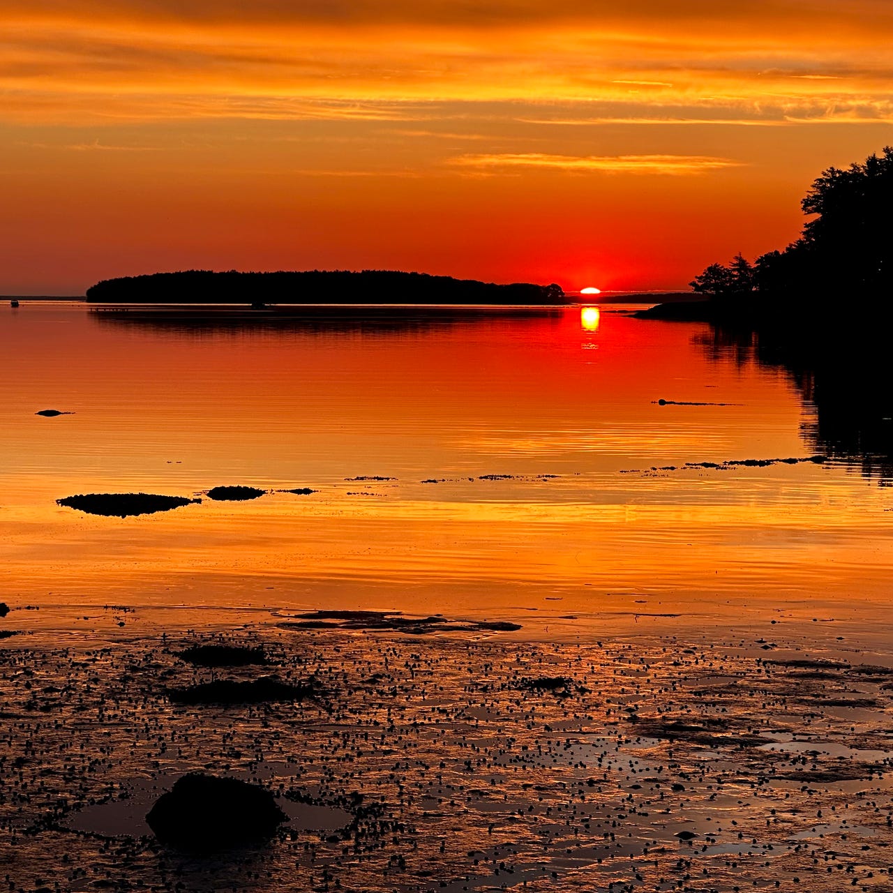 Artwork for Still on the Marsh