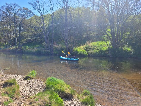 A series of images of a sunny day at the river, one with a black spaniel, one with two kids in a kayak, one a landscape