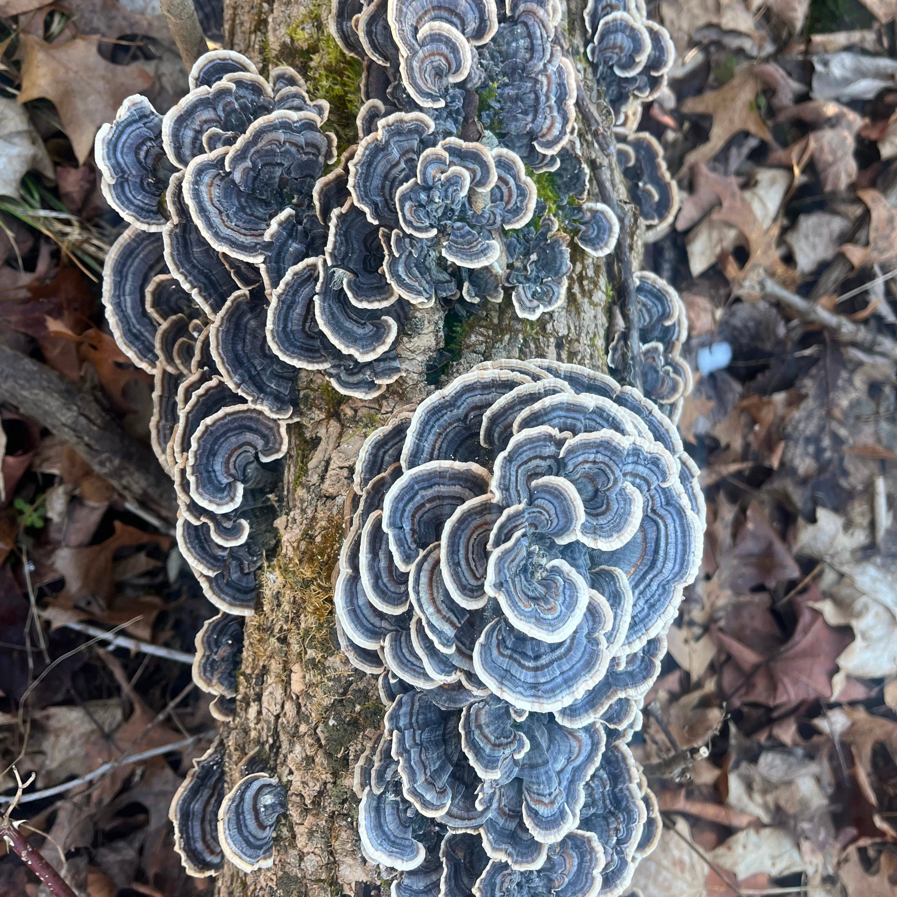 Little Platte CW Farm