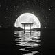 Moonlight Capital