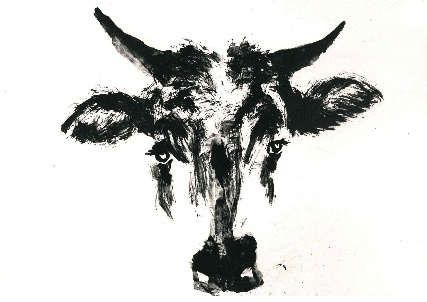 Black asian ink artwork of a cow's face on white paper by Weme Jin Black asian ink artwork of a cow's face on white paper by Weme Jin