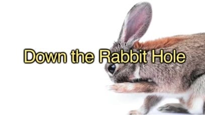 Falling 'Down the Rabbit Hole'