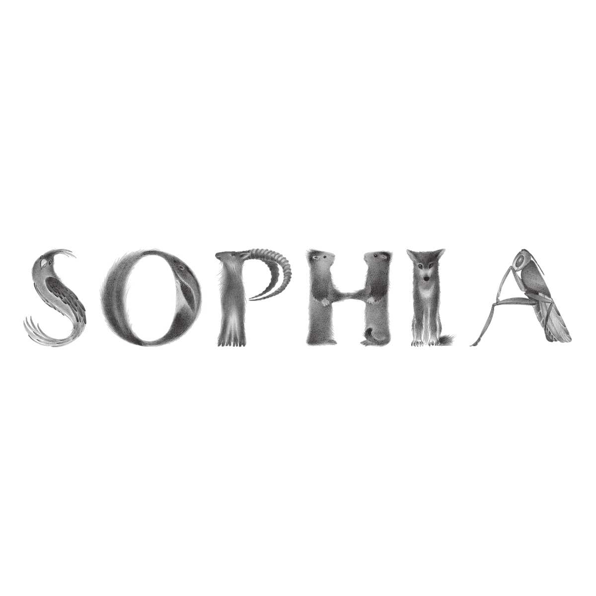 Sophia Rokhlin
