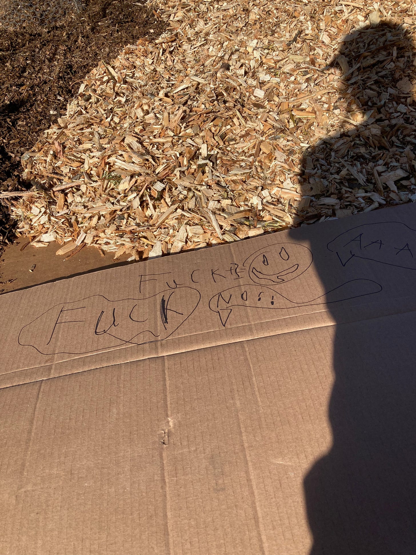 A piece of cardboard with "Fuck" written on it twice in child's handwriting and a drawing of a face that looks a little like a jack-o-lantern