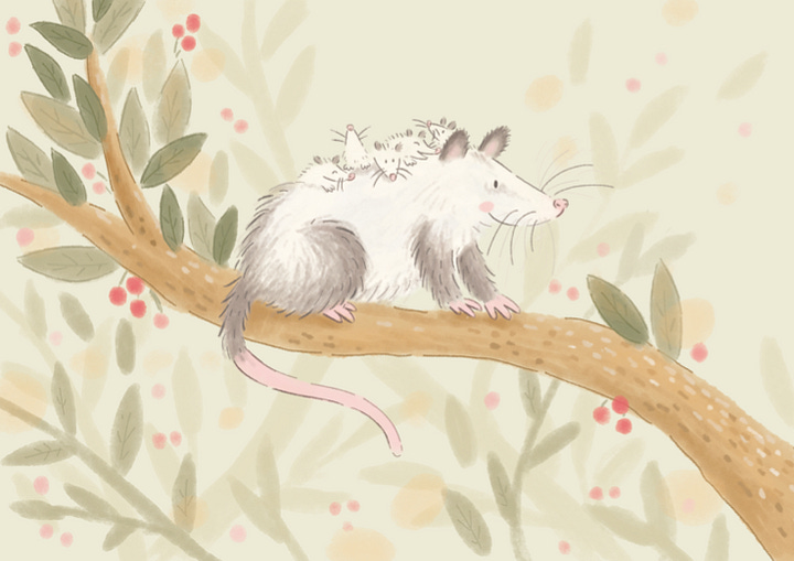 Four color illustrations: a book cover with a girl and a sloth hugging a pink heart that says "Lily Alice and the Best Snuggle Ever," written by Kassondra Cloos and illustrated by Belén Salov; a family of crows; a possum with babies on its back; and a little girl in a pink dress sitting at a tree stump with a baby bear and a mother fox in a blue bonnet surrounded by her kits.