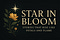 Star In Bloom