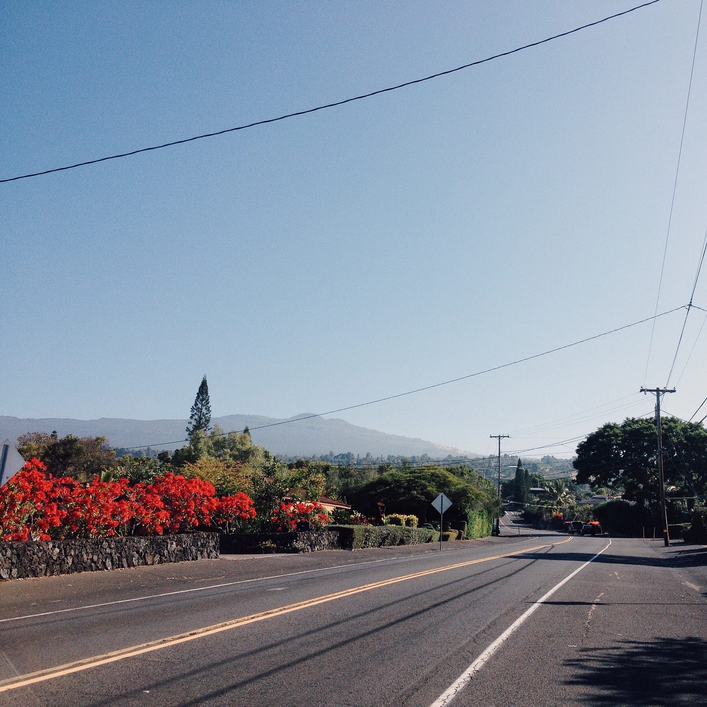 A long road extends into the distances. A mountain is in the background. Bright red flowers hover over a rock wall paralleling the road.