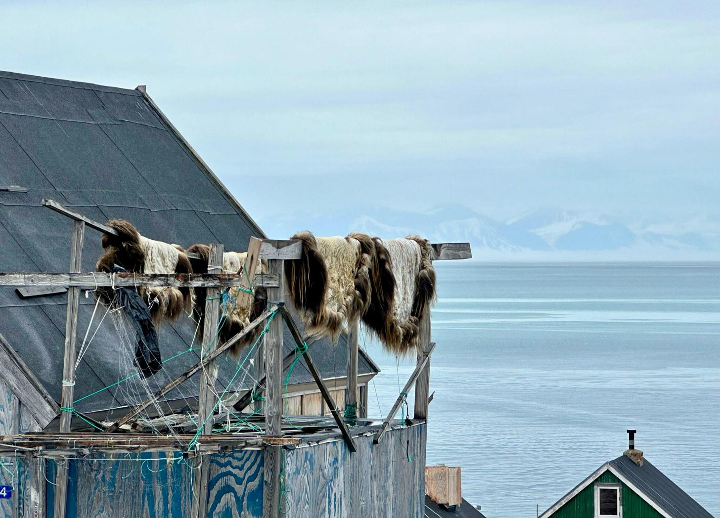 Animal skins draped over a wooden rack on a rooftop in a coastal Greenland village, with sea and snowy mountains in the distance.