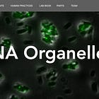 Build A Organelle in Three Weeks, and Get Published in Cell