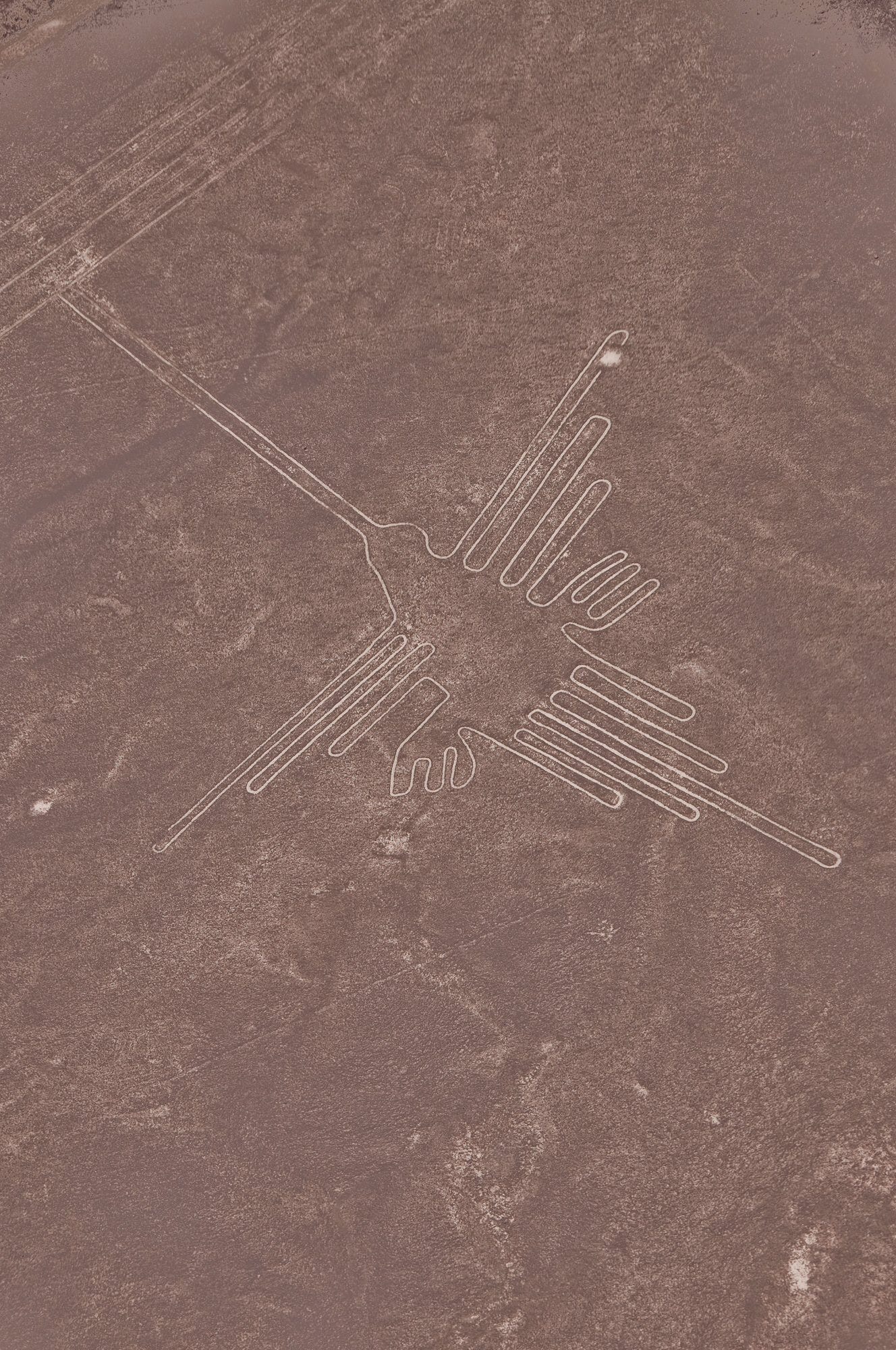 The Real Nazca Lines: What Mainstream Archaeology Won’t Commit To