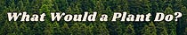 What Would A Plant Do?