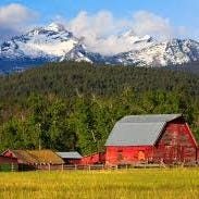 Big Sky Market Analysis
