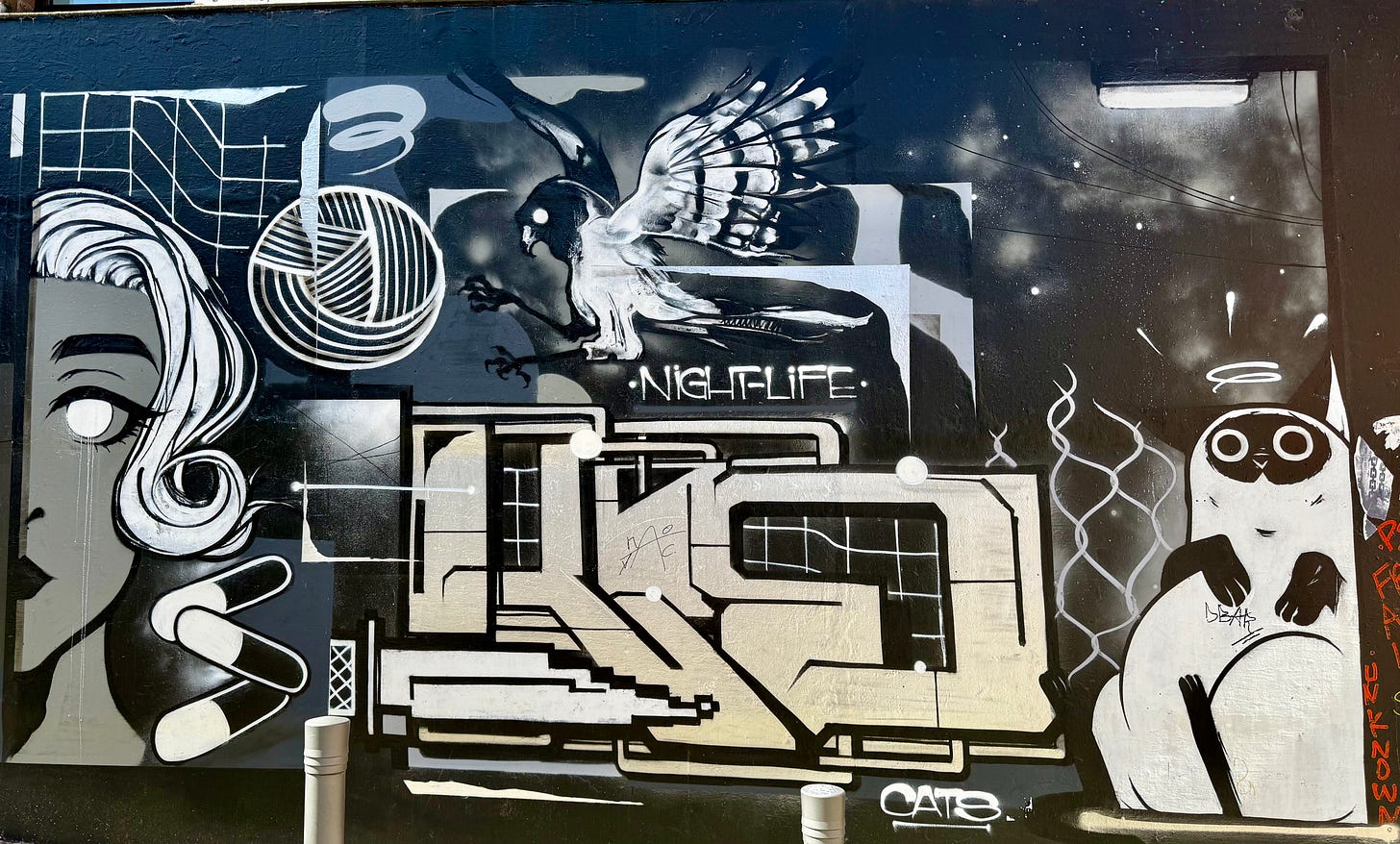 mural of cat, hawk and woman, with text, "nightlife" and "cats"