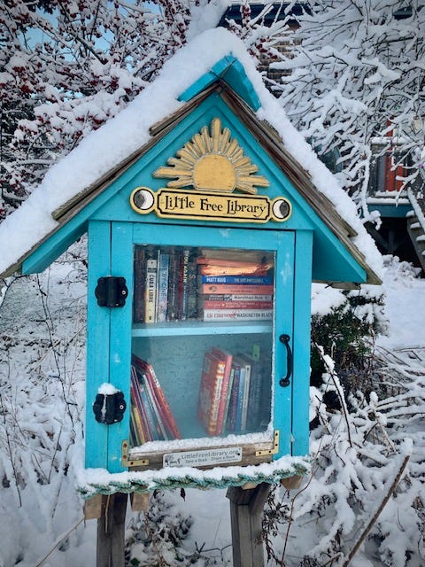 a blue and yellow little free library covered in snow
