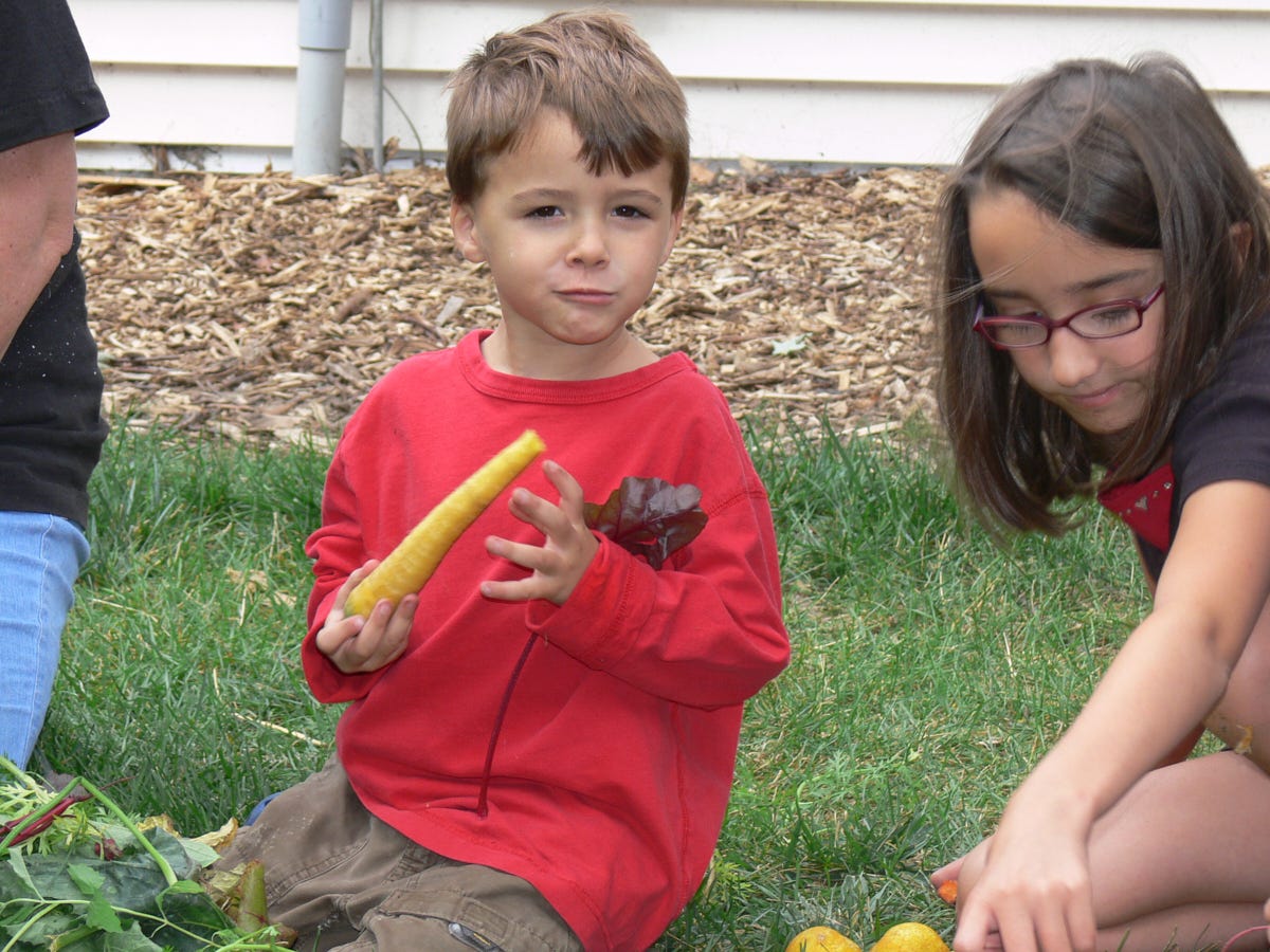 a young boy eating a carrot